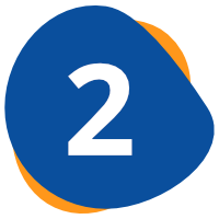 Develop Tailored Solution